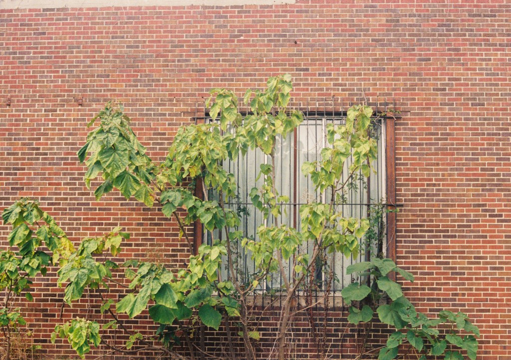 Field Note: What the hell? Georgia&nbsp;Politics